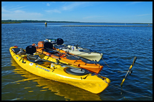 Kayaks Ready to Go